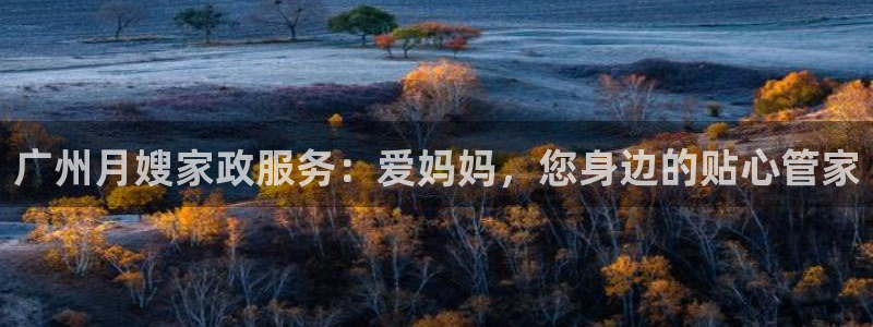 杏悦平台主管