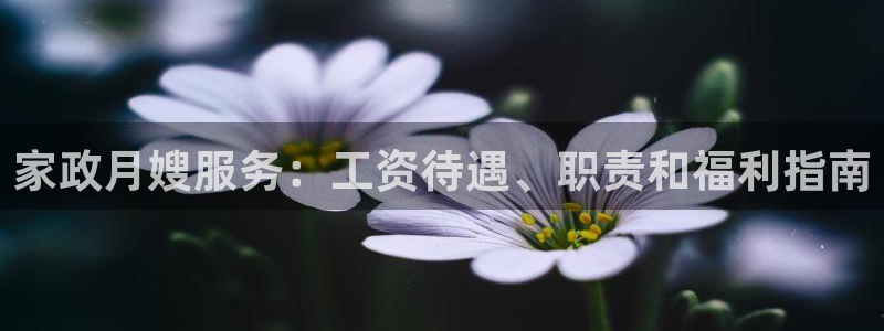 杏悦平台可靠吗可信吗安全吗