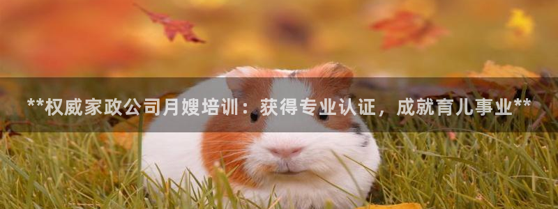 杏悦平台代理怎么做