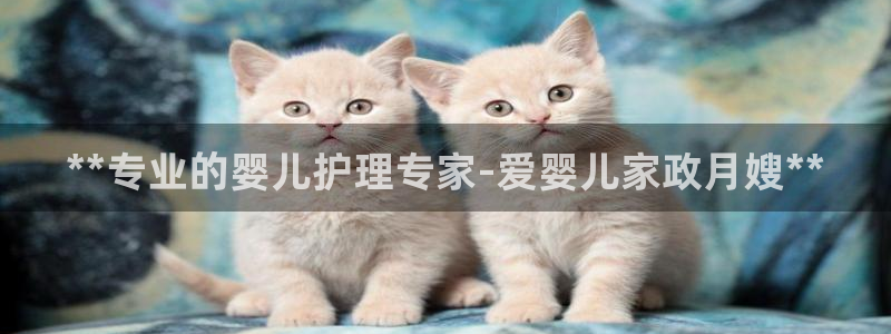 杏悦平台代理怎么做