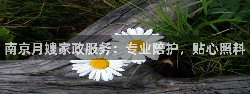 杏悦平台登陆