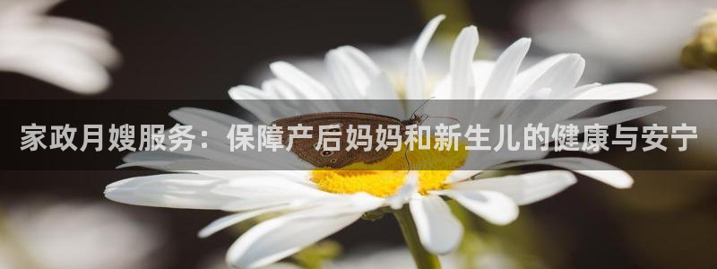 杏悦官网注册信息在哪里