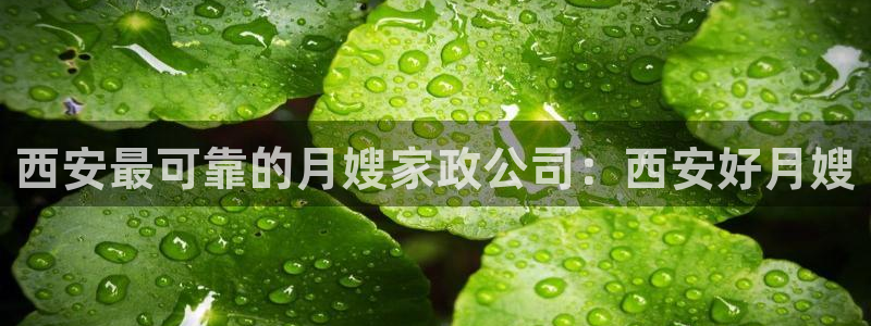 杏悦平台注册地址在哪里