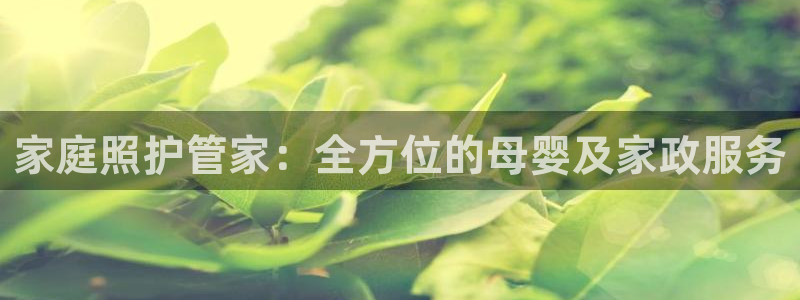 杏悦平台代理注册