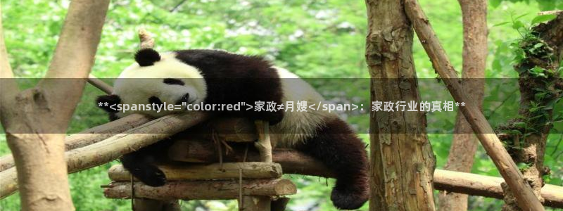 杏悦娱乐是什么
