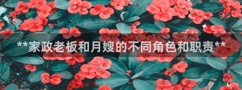 杏悦官网注册信息在哪里