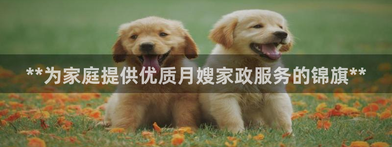 杏悦娱乐注册平台怎么样