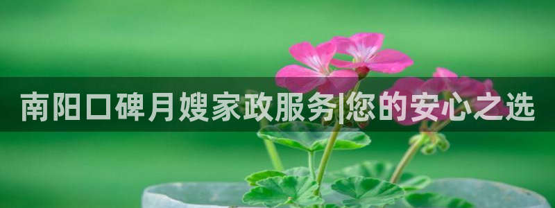 杏悦官方平台是正品吗知乎