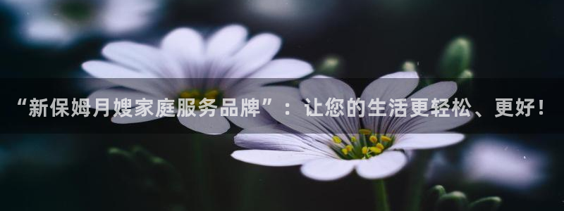 杏悦平台代理怎么做赚钱