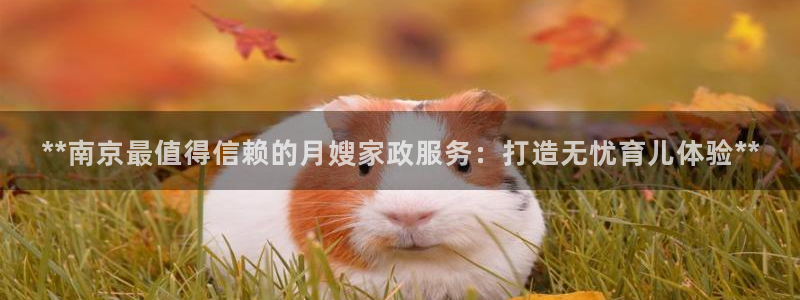 杏悦平台开户地址