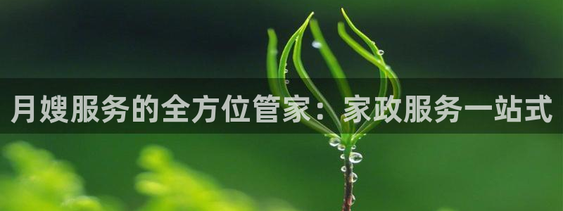 杏悦平台主管