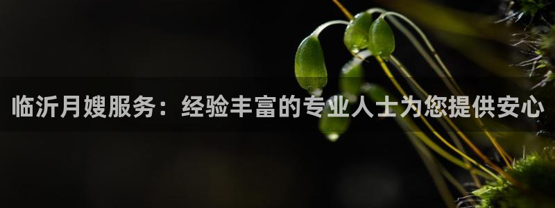 杏悦平台招商电话号码