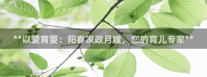 杏悦娱乐注册平台官网