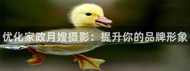 杏悦平台注册要钱吗