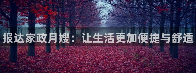 杏悦平台主管