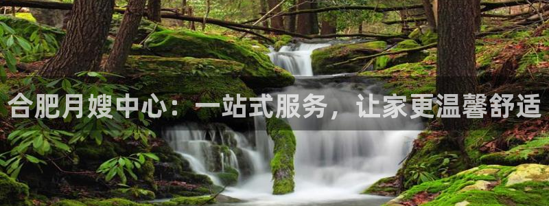 杏悦平台如何