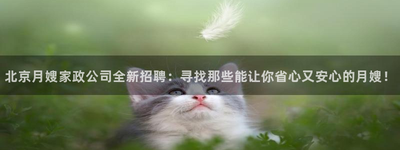 杏悦平台代理怎么赚钱