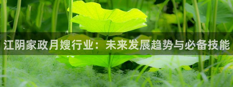 杏悦平台开户地址在哪里
