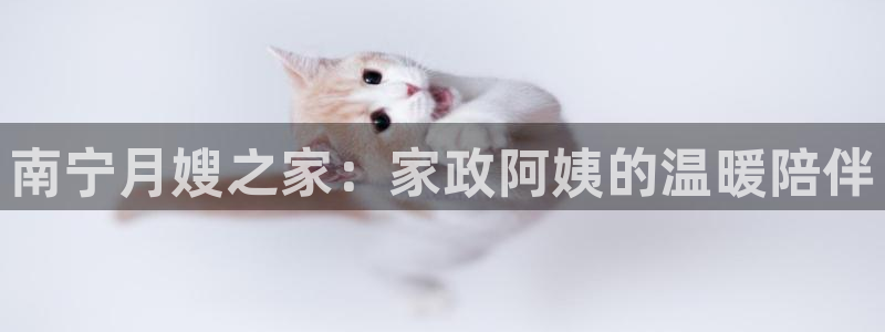 杏悦平台代理怎么赚钱快