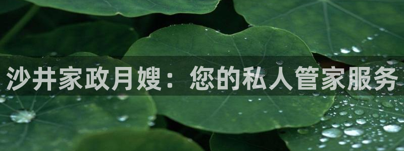 杏悦平台代理怎么样