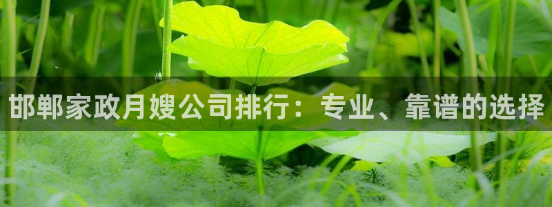 杏悦平台代理怎么样赚钱