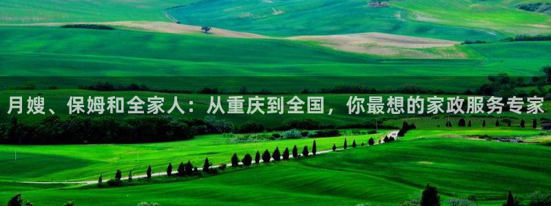 杏悦平台公司介绍