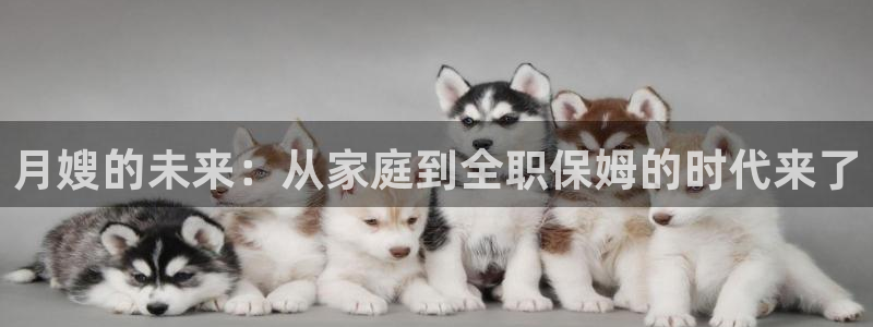 杏悦平台招商