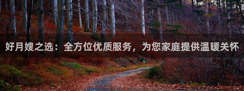 杏悦招商地址