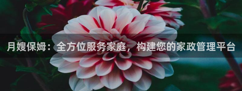 杏悦官方平台官网入口