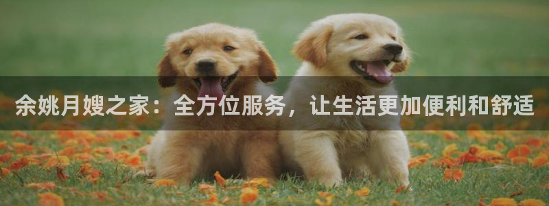 杏悦官方平台是正品吗安全吗