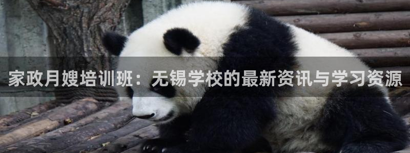 杏悦平台如何