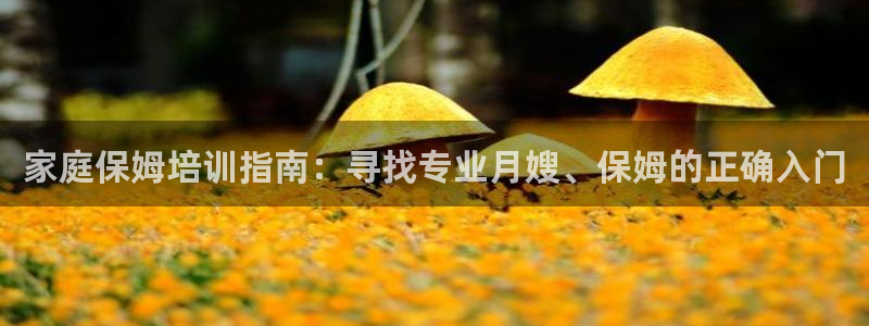 杏悦官方平台是正品吗安全吗