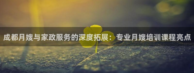 杏悦平台开户地址在哪里
