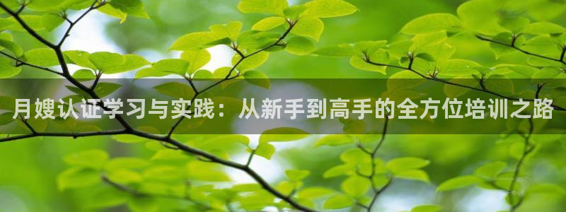 杏悦平台代理怎么赚钱