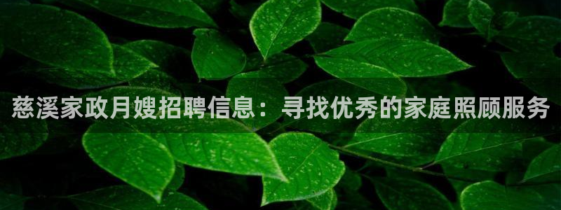 杏悦平台代理怎么做的