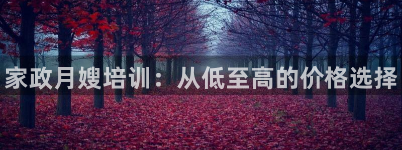 杏悦平台可靠吗可信吗