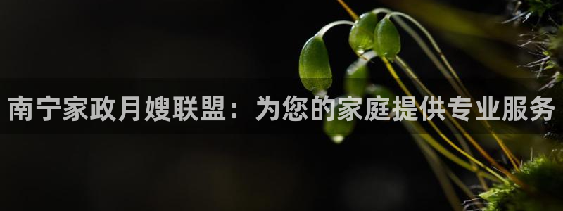 杏悦平台登录地址