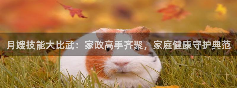 杏悦平台招商电话