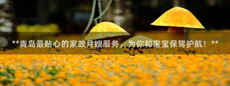 杏悦平台线路测速