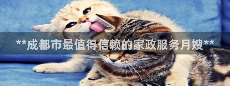 杏悦平台登录地址在哪里