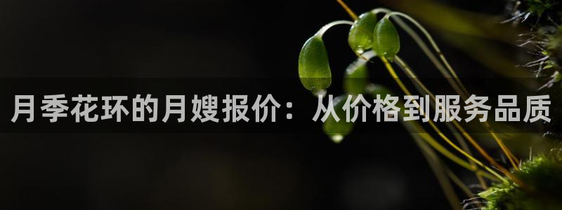 杏悦平台登录网址查询