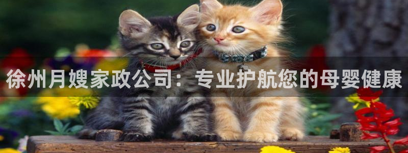 杏悦平台代理怎么做的