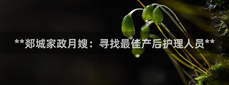 杏悦平台可靠吗可信吗是真的吗