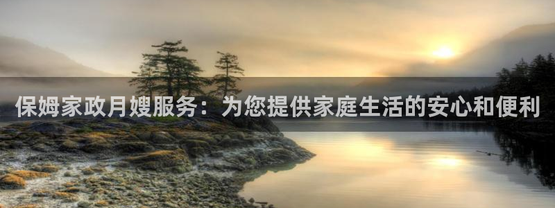 杏悦平台代理注册流程