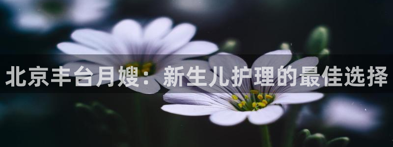 杏悦平台注册地址是哪里