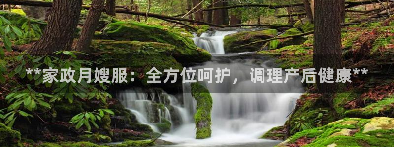 杏悦平台招商电话号码