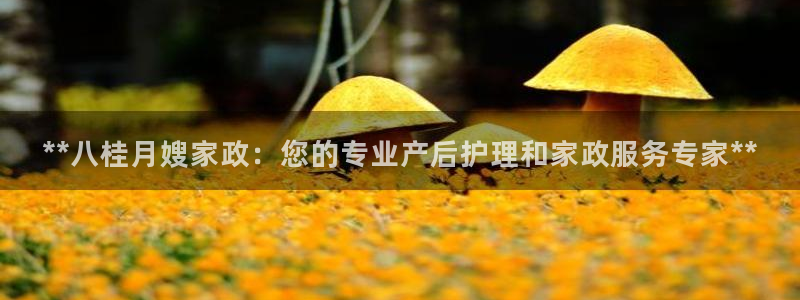 杏悦娱乐注册平台怎么样