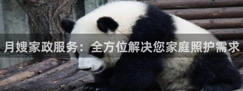 杏悦官网注册信息