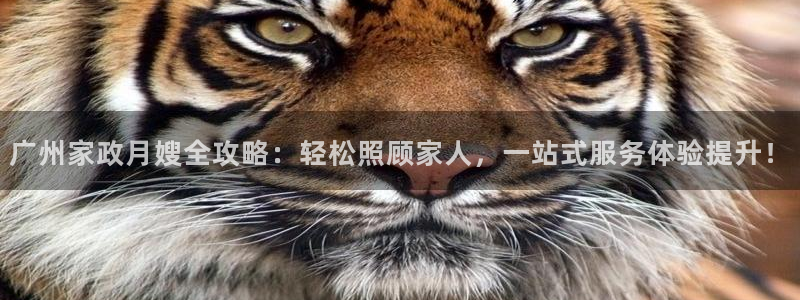 杏悦平台代理怎么赚钱的