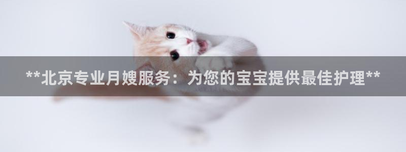 杏悦官网注册信息查询